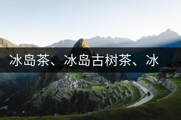 冰島茶、冰島古樹(shù)茶、冰島茶區(qū)茶、冰島茶區(qū)古樹(shù)茶