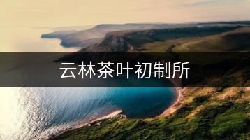 云林茶葉初制所