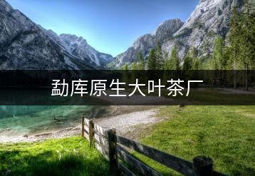 勐庫(kù)原生大葉茶廠