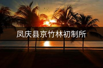 鳳慶縣京竹林初制所