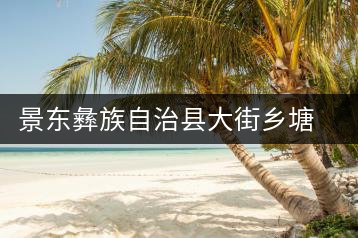 景東彝族自治縣大街鄉(xiāng)塘坊村茶廠