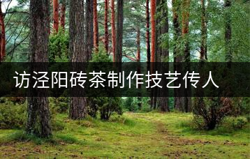 訪涇陽磚茶制作技藝傳人、陜西省非遺傳承人賈根社