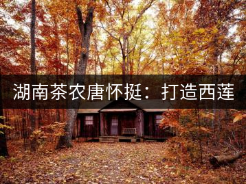 湖南茶農唐懷挺：打造西蓮茶葉品牌 做大茶葉產業(yè)規(guī)模