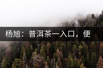楊旭：普洱茶一入口，便知產(chǎn)地和年份