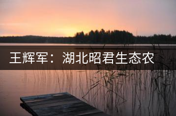 王輝軍：湖北昭君生態(tài)農(nóng)業(yè)有限公司董事長(zhǎng)