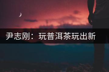 尹志剛：玩普洱茶玩出新心情