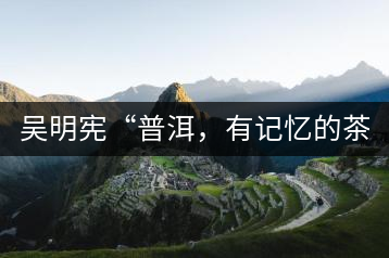 吳明憲“普洱，有記憶的茶品”