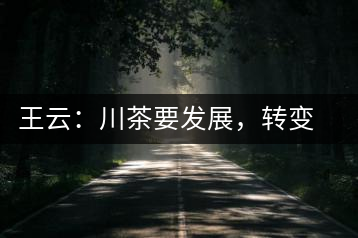 王云：川茶要發(fā)展，轉變思想是關鍵