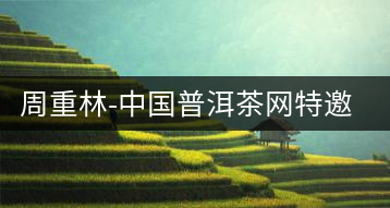 周重林-中國普洱茶網(wǎng)特邀行業(yè)專家顧問