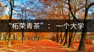 “柘榮青茶”: 一個大學(xué)生的創(chuàng)業(yè)夢想