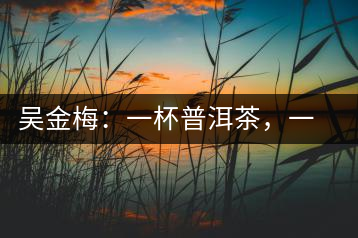 吳金梅：一杯普洱茶，一份云南情