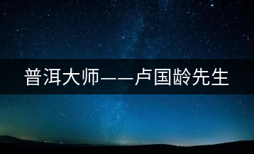 普洱大師——盧國(guó)齡先生