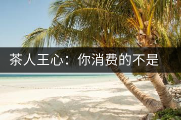 茶人王心：你消費的不是茶，是我
