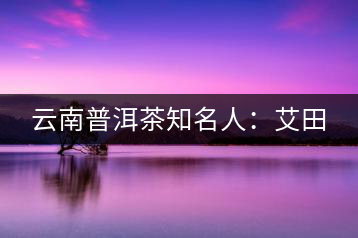 云南普洱茶知名人：艾田