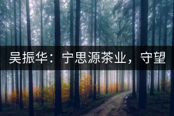 吳振華：寧思源茶業(yè)，守望家鄉(xiāng) 做好“金獎(jiǎng)茶王”