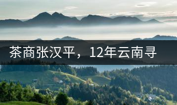 茶商張漢平，12年云南尋茶路