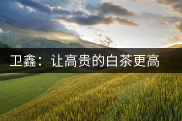 衛(wèi)鑫：讓高貴的白茶更高貴