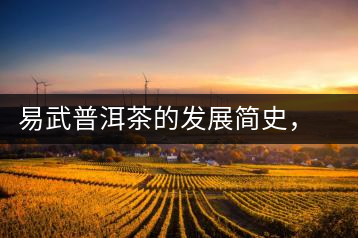 易武普洱茶的發(fā)展簡史，昔日的貢茶如今依然輝煌