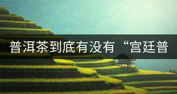普洱茶到底有沒有“宮廷普洱”一說？它到底是什么？