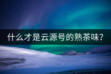 什么才是云源號的熟茶味？