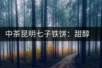 中茶昆明七子鐵餅：甜醇甘潤，陳韻綿長