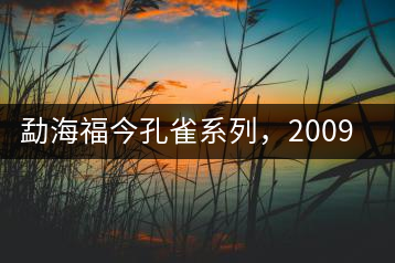 勐海福今孔雀系列，2009年尊享青餅
