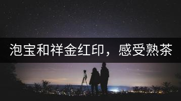 泡寶和祥金紅印，感受熟茶之美。