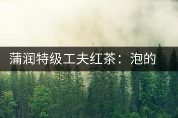 蒲潤(rùn)特級(jí)工夫紅茶：泡的方便，喝的舒適