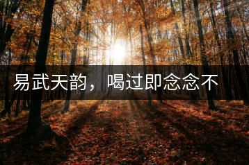 易武天韻，喝過即念念不忘的茶中皇后