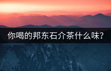 你喝的邦東石介茶什么味？