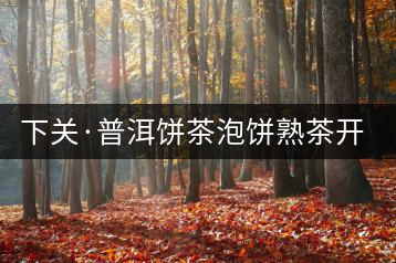 下關·普洱餅茶泡餅熟茶開湯品鑒