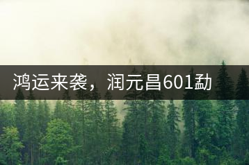 鴻運(yùn)來襲，潤元昌601勐海紅韻熟茶即將上市