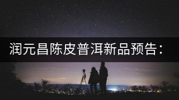 潤(rùn)元昌陳皮普洱新品預(yù)告：【金絲單泡裝】&【醇真】