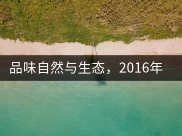 品味自然與生態(tài)，2016年勐傣“大雪山古樹茶”