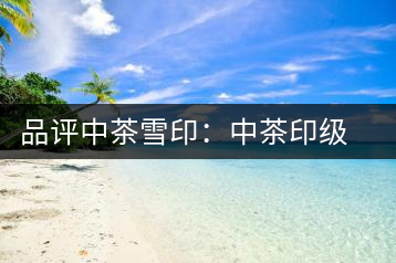 品評(píng)中茶雪?。褐胁栌〖?jí)茶的經(jīng)典傳承