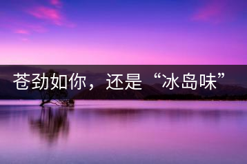 蒼勁如你，還是“冰島味”嗎？
