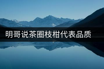 明哥說茶圈枝柑代表品質(zhì)高點，是玩家級的產(chǎn)品