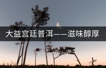 大益宮廷普洱——滋味醇厚，陳香濃郁