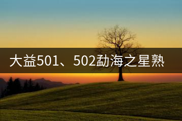 大益501、502勐海之星熟茶