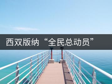 西雙版納“全民總動員”保護(hù)北回歸線唯一綠洲