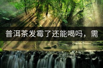 普洱茶發(fā)霉了還能喝嗎，需要怎么處理？