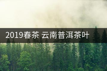 2019春茶 云南普洱茶葉普洱茶生茶 易武正山古樹(shù)純料生茶357g貢餅