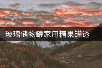 玻璃儲(chǔ)物罐家用糖果罐透明創(chuàng)意花瓣裝茶葉罐子蜜餞普洱茶密封茶罐