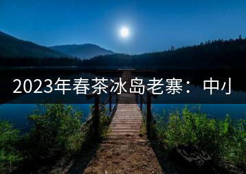 2023年春茶冰島老寨：中小樹混采2500-3000元／公斤，大樹：7000-8000元／公斤，古樹混采：28000-36000元／公斤