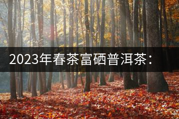2023年春茶富硒普洱茶：1.富硒有機(jī)手工生普，市場指導(dǎo)價(jià)800元／公斤；2.富硒有機(jī)一級(jí)紅茶，市場指導(dǎo)價(jià)800元／公斤；3.富硒有機(jī)熟普餅，市場指導(dǎo)價(jià)1000元／公斤；4.富硒有機(jī)月光白茶，市場指導(dǎo)價(jià)800元／公斤。