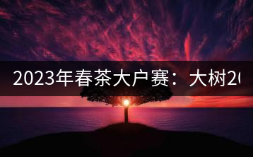 2023年春茶大戶賽：大樹200-300元／公斤，古樹800-1000元／公斤