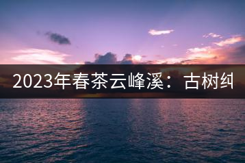 2023年春茶云峰溪：古樹純料：1200-1500元／公斤，古樹混采800-1000元／公斤，大樹500-800元／公斤，小樹300-500元／公斤