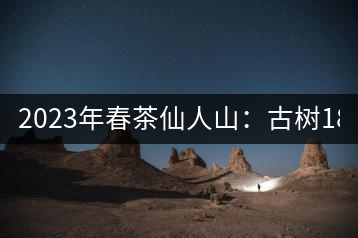2023年春茶仙人山：古樹1800-2500元／公斤，老曼峨：小樹：600元／公斤 1600-1800元／公斤
