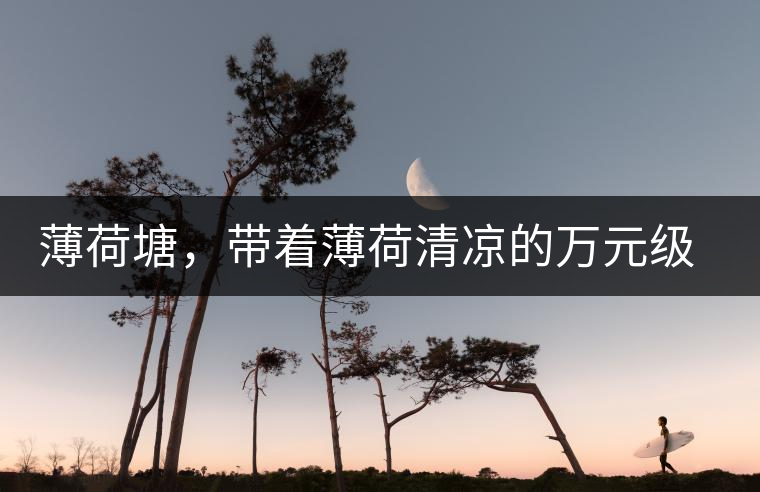 薄荷塘，帶著薄荷清涼的萬元級普洱