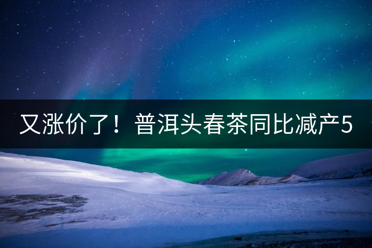 又漲價(jià)了！普洱頭春茶同比減產(chǎn)50%，薄荷塘一類鮮葉需當(dāng)面議價(jià)